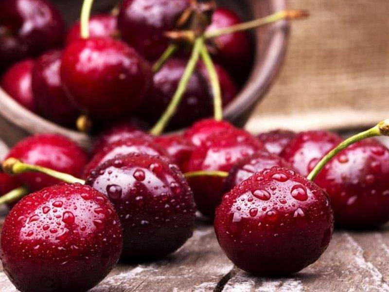 Вишня купить саженцы из питомника в Гуково